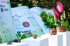 而这也形成了细分品类龙头品牌定位的特有劣势