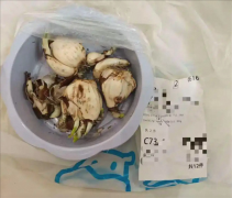 最终查明事务缘由为：分拣员当日接到两单分